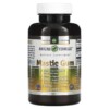 Thực phẩm chức năng Amazing Nutrition Mastic Gum 500 mg 60 Capsules 810180021333