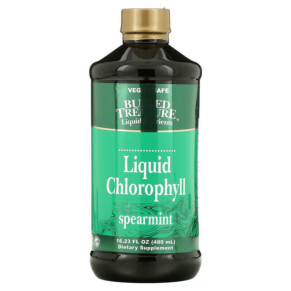Thực phẩm chức năng Buried Treasure Liquid Chlorophyll Spearmint 16.23 fl oz (480 ml) 016055500198