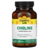 Thực phẩm chức năng Country Life Choline 100 Tablets 015794065104