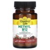 Thực phẩm chức năng Country Life Methyl B12 Cherry 5.000 mcg 60 Lozenges 015794063049