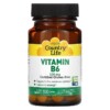 Thực phẩm chức năng Country Life Vitamin B6 100 mg 100 Tablets 015794061113
