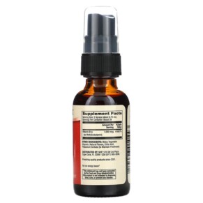 Thành phần vi chất của Dr. Mercola Methyl B12 Energy Booster Natural Blackberry 0.98 fl oz (29 ml) 813006010443