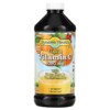 Thực phẩm chức năng Dynamic Health Liquid Vitamin C Natural Citrus 1.000 mg 16 fl oz (473 ml) 790223100396