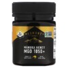 Egmont Honey Manuka Honey MGO 1050+ 8.8 oz (250 g) 5 Thực phẩm chức năng Egmont Honey Manuka Honey MGO 1050+ 8.8 oz (250 g) 9421034912663