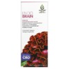 Thực phẩm chức năng Emerald Health Bioceuticals Inc EndoBrain 60 Vegan Softgels 855411007038