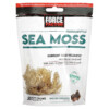 Force Factor Fundamentals Sea Moss Salted Caramel 30 Soft Chews 5 Thực phẩm chức năng Force Factor Fundamentals Sea Moss Salted Caramel 30 Soft Chews 818594018697