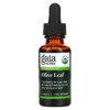 Thực phẩm chức năng Gaia Herbs Olive Leaf 1 fl oz (30 ml) 751063308250