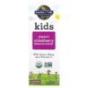 Thực phẩm chức năng Garden of Life Kids Organic Elderberry Immune Syrup with Aronia Berry and Vitamin C 3.9 fl oz (116 ml) 658010125246