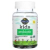 Thực phẩm chức năng Garden of Life Kids Probiotic Cherry 3 Billion CFU 30 Vegetarian Gummies 658010125154