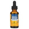 Thực phẩm chức năng Herb Pharm Brain & Memory Nervous System 1 fl oz (30 ml) 090900000194