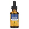 Thực phẩm chức năng Herb Pharm Ginkgo Biloba 1 fl oz (30 ml) 090700000615
