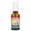 Thực phẩm chức năng Herbs for Kids Super Kids Throat Spray Peppermint 1 fl oz (30 ml) 701619107110