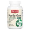 Jarrow Formulas Mastic Gum 500 mg 120 Veggie Capsules 4 Thực phẩm chức năng Jarrow Formulas Mastic Gum 500 mg 120 Veggie Capsules 790011230144