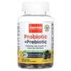 Thực phẩm chức năng Jarrow Formulas Probiotic + Prebiotic Blackberry 2 Billion 50 Gummies 790011037163