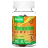 Jarrow Formulas Theanine Gummies Sugar Free Apple Flavor 100 mg 60 Gummies 5 Thực phẩm chức năng Jarrow Formulas Theanine Gummies Sugar Free Apple Flavor 100 mg 60 Gummies 790011320081