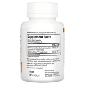 Thành phần vi chất của Kyolic Aged Garlic Extract Curcumin 50 Capsules 023542111454