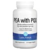 Thực phẩm chức năng Lake Avenue Nutrition PEA 300 mg + PQQ 10 mg 90 Veggie Capsules 898220015924