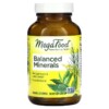 MegaFood Balanced Minerals 90 Tablets 5 Thực phẩm chức năng MegaFood Balanced Minerals 90 Tablets 051494101698