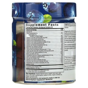 Thành phần vi chất của MegaFood Men's Multi Wild Blueberry 60 Gummies 051494104354