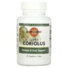 Mushroom Wisdom Super Coriolus 120 Vegetarian Tablets 5 Thực phẩm chức năng Mushroom Wisdom Super Coriolus 120 Vegetarian Tablets 791014109055