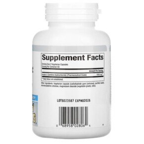 Thành phần vi chất của Natural Factors Acetyl-L-Carnitine 500 mg 120 Vegetarian Capsules 068958028064