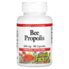 Natural Factors Bee Propolis 500 mg 90 Capsules 5 Thực phẩm chức năng Natural Factors Bee Propolis 500 mg 90 Capsules 068958031613