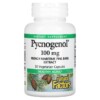 Thực phẩm chức năng Natural Factors Pycnogenol 100 mg 30 Vegetarian Capsules 068958020914