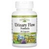 Thực phẩm chức năng Natural Factors Urinary Flow Formula 90 Capsules 068958046303