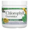 Nature's Answer Chlorophyll Gummies Natural Peppermint 25 mg 60 Pectin Gummies 4 Thực phẩm chức năng Nature's Answer Chlorophyll Gummies Natural Peppermint 25 mg 60 Pectin Gummies 083000269196