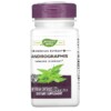 Thực phẩm chức năng Nature's Way Andrographis 300 mg 60 Vegan Capsules 033674153819