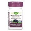 Thực phẩm chức năng Nature's Way Bilberry 60 Vegan Capsules 033674605004