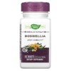 Nature's Way Boswellia 307 mg 60 Tablets 5 Thực phẩm chức năng Nature's Way Boswellia 307 mg 60 Tablets 033674644003