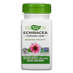 Thực phẩm chức năng Nature's Way Echinacea Purpurea Herb 400 mg 100 Vegan Capsules 033674124000