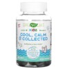 Thực phẩm chức năng Nature's Way Kids Cool Calm & Collected Ages 8 + Grape 40 Gummies 033674133699