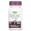 Thực phẩm chức năng Nature's Way Premium Extract Olive Leaf 250 mg 60 Vegan Capsules 033674154809