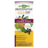Thực phẩm chức năng Nature's Way Sambucus for Kids HoneyBerry NightTime Cough Syrup 4 fl oz (120 ml) 033674133163