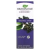 Nature's Way Sambucus Standardized Elderberry Original Syrup 8 fl oz (240 ml) 5 Thực phẩm chức năng Nature's Way Sambucus Standardized Elderberry Original Syrup 8 fl oz (240 ml) 033674153321