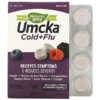 Thực phẩm chức năng Nature's Way Umcka Cold + Flu Berry 20 Chewable Tablets 033674151594