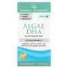 Nordic Naturals Algae DHA 60 Soft Gels 5 Thực phẩm chức năng Nordic Naturals Algae DHA 60 Soft Gels 768990016042