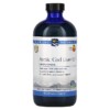 Thực phẩm chức năng Nordic Naturals Arctic Cod Liver Oil Orange 16 fl oz (473 ml) 768990547867