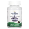 Thực phẩm chức năng Nordic Naturals Nordic Immune Gummies Elderberry 40 Gummies 768990015144