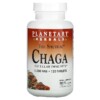 Thực phẩm chức năng Planetary Herbals Full Spectrum Chaga 1.000 mg 120 Tablets 021078106678