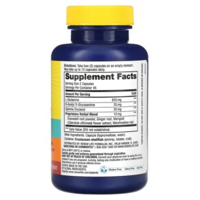 Thành phần vi chất của Renew Life IntestiNew 90 Vegetarian Capsules 631257347299