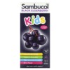 Sambucol Black Elderberry Syrup For Kids Berry Flavor 7.8 fl oz (230 ml) 4 Thực phẩm chức năng Sambucol Black Elderberry Syrup For Kids Berry Flavor 7.8 fl oz (230 ml) 896116001211