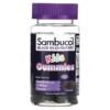 Thực phẩm chức năng Sambucol Kids Gummies Black Elderberry 30 Gummies 896116001600
