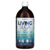 Silicium Laboratories LLC Orgono Living Silica Collagen Booster 33.8 fl oz (1 L) 4 Thực phẩm chức năng Silicium Laboratories LLC Orgono Living Silica Collagen Booster 33.8 fl oz (1 L) 045914998944