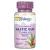 Solaray Mastic Gum 500 mg 45 VegCaps 4 Thực phẩm chức năng Solaray Mastic Gum 500 mg 45 VegCaps 076280036886