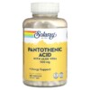Thực phẩm chức năng Solaray Pantothenic Acid with Aloe Vera 500 mg 250 VegCaps 076280043815