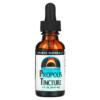 Source Naturals Propolis Tincture 1 fl oz (29.57 ml) 4 Thực phẩm chức năng Source Naturals Propolis Tincture 1 fl oz (29.57 ml) 021078006077