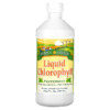 Thực phẩm chức năng Sunny Green Liquid Chlorophyll Peppermint 100 mg 16.2 fl oz (480 ml) 632651560000